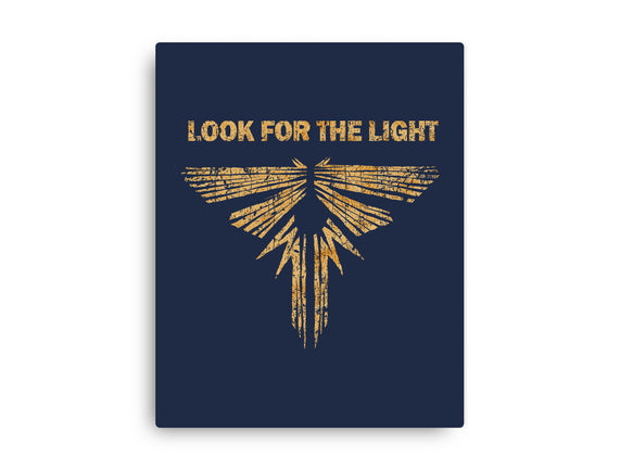 Looking For The Light