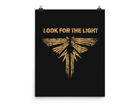 Looking For The Light