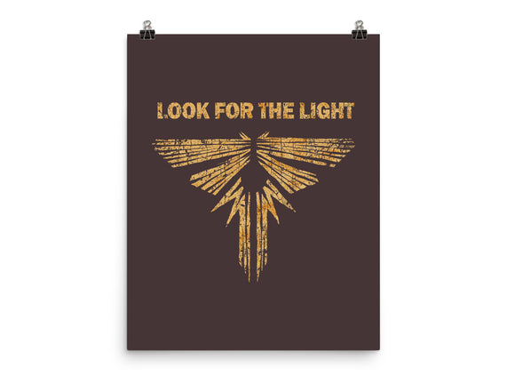 Looking For The Light