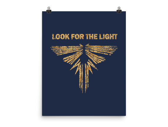Looking For The Light