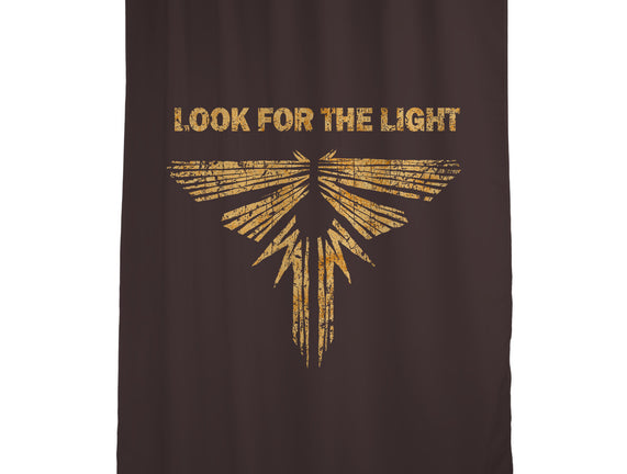 Looking For The Light