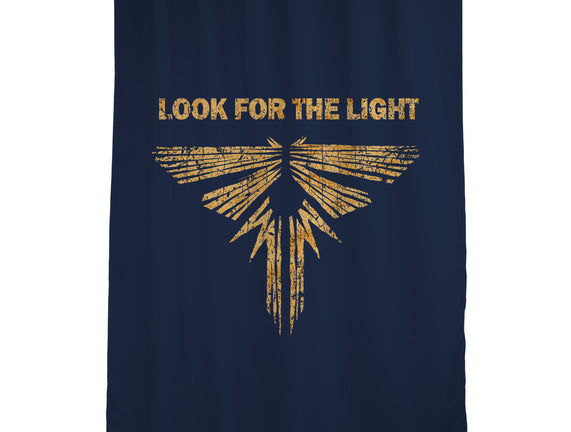 Looking For The Light
