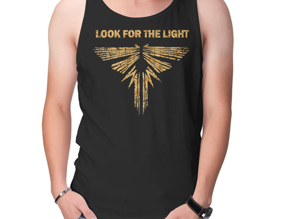 Looking For The Light