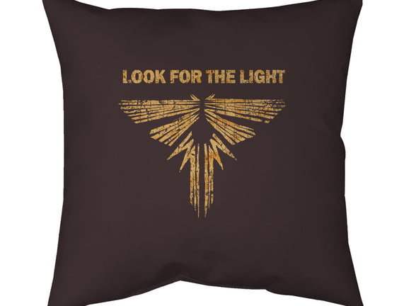 Looking For The Light