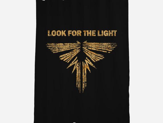 Looking For The Light