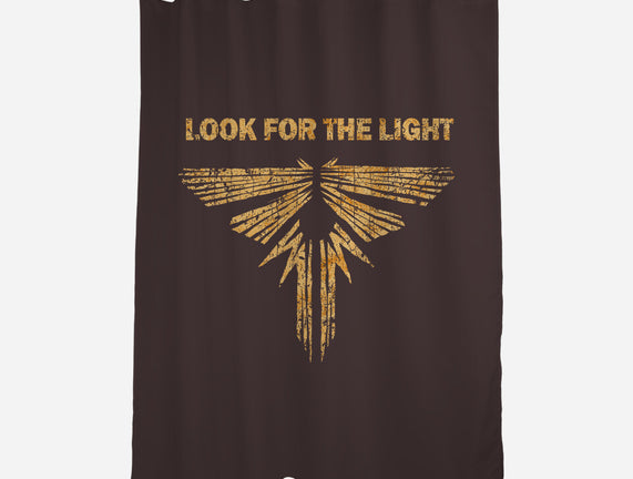 Looking For The Light