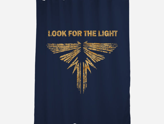 Looking For The Light
