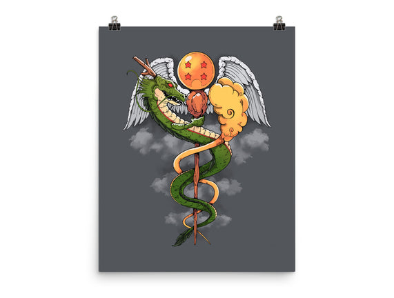 Dragon Caduceus