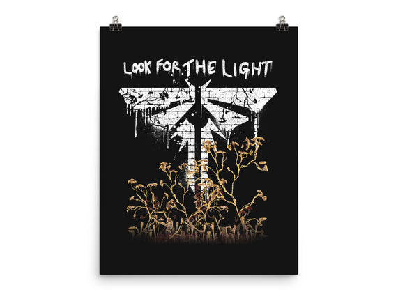 Firefly Light