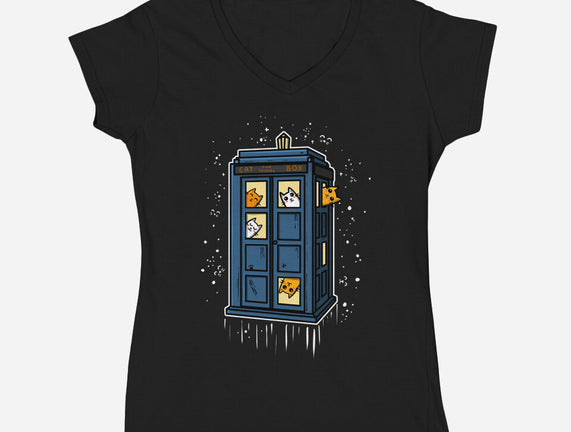 Cat Time Travel
