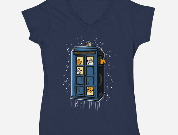 Cat Time Travel