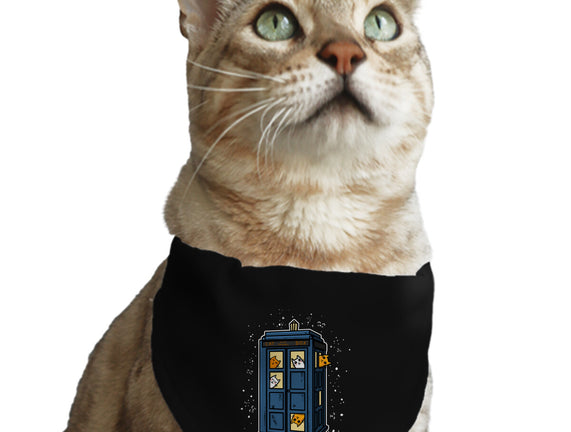 Cat Time Travel