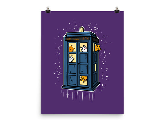 Cat Time Travel