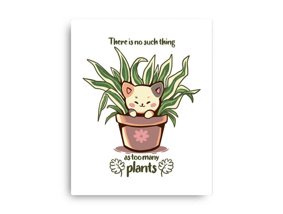 No Such Thing As Too Many Plants