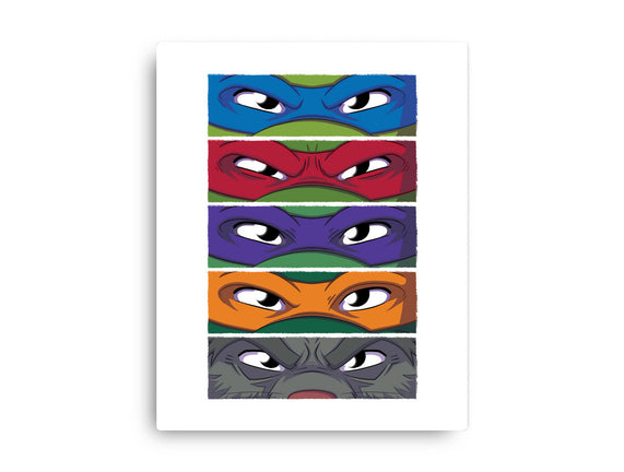 TMNT Eyes