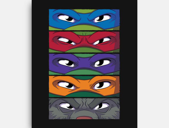 TMNT Eyes