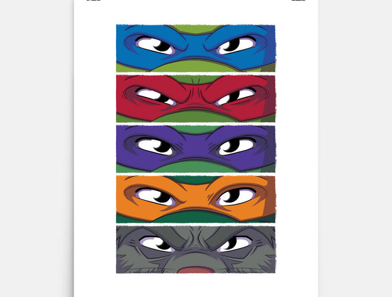 TMNT Eyes