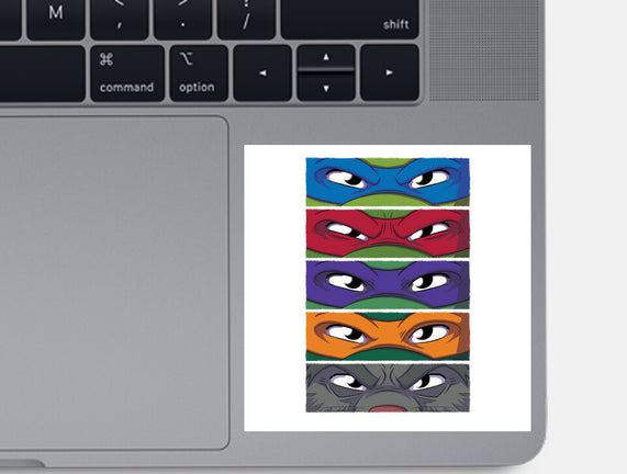TMNT Eyes