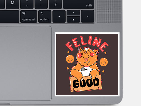 Feline Good Today