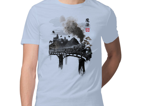 Train To School Of Magic