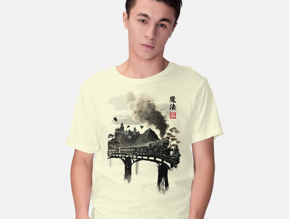 Train To School Of Magic
