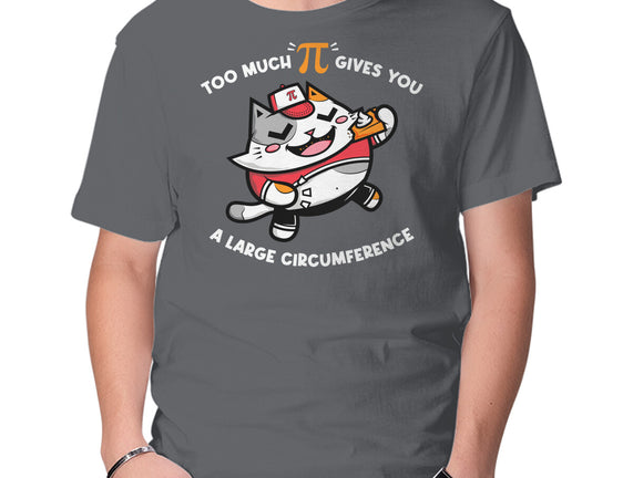 Too Much Pi