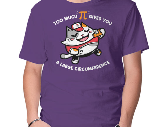Too Much Pi