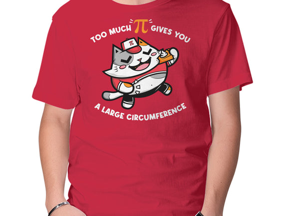 Too Much Pi