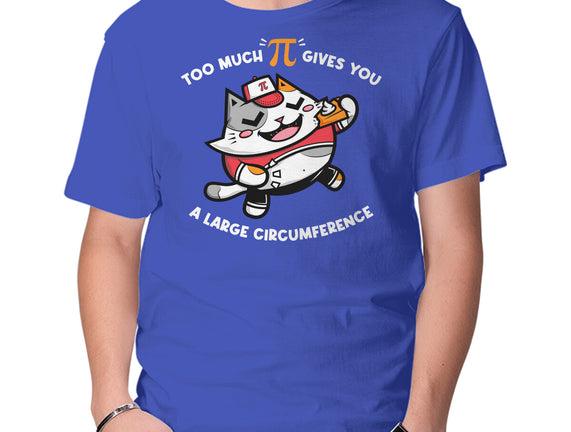Too Much Pi