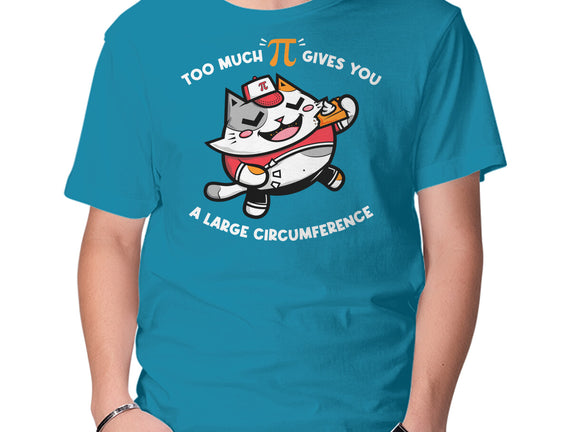 Too Much Pi