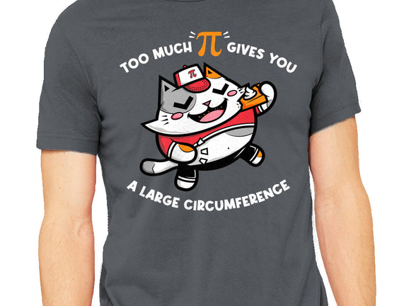 Too Much Pi