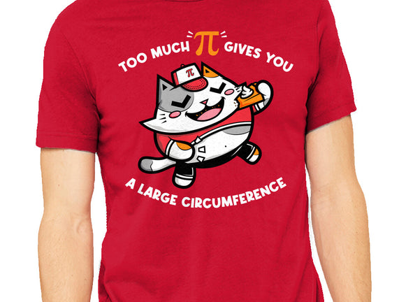 Too Much Pi