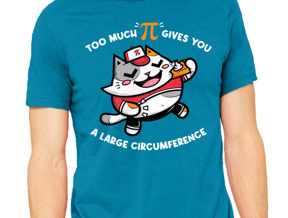 Too Much Pi