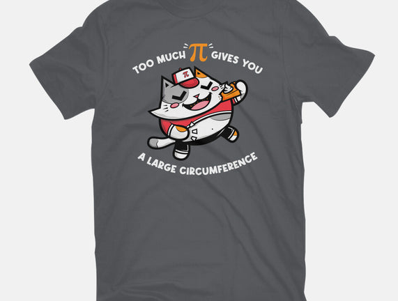 Too Much Pi