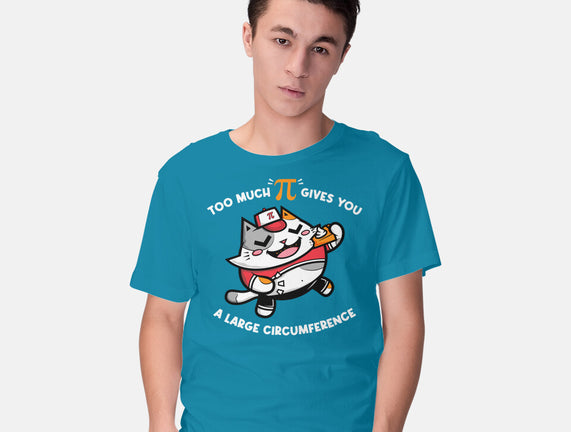 Too Much Pi