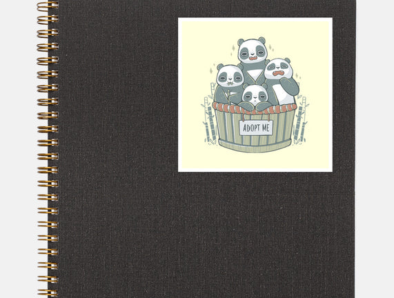 Adopt A Panda