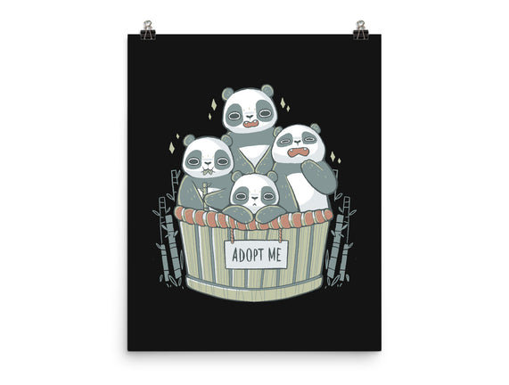 Adopt A Panda