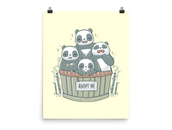 Adopt A Panda