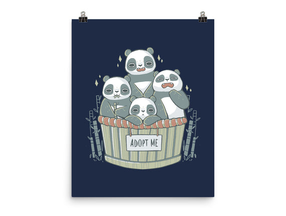 Adopt A Panda