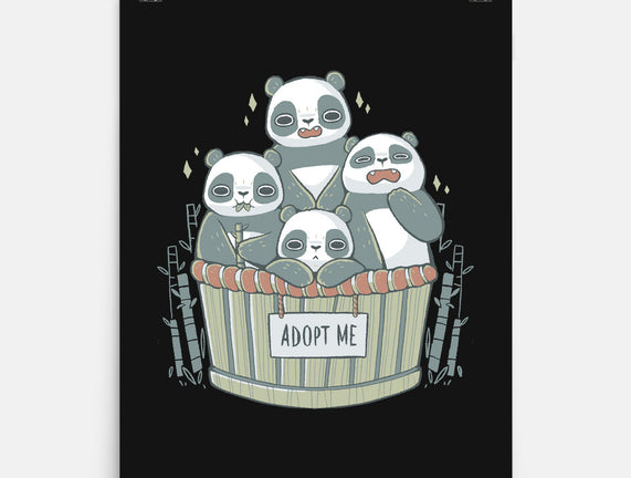 Adopt A Panda