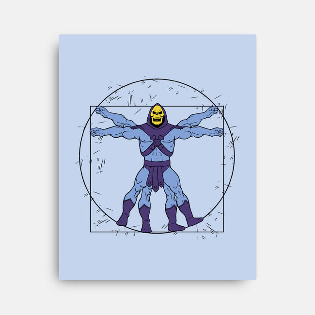 Vitruvian Master Skeletor-none stretched canvas-Melonseta