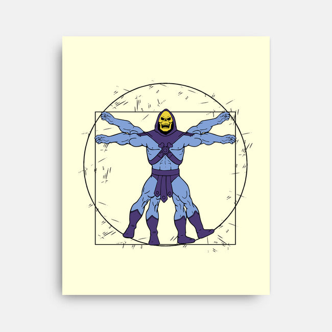 Vitruvian Master Skeletor-none stretched canvas-Melonseta