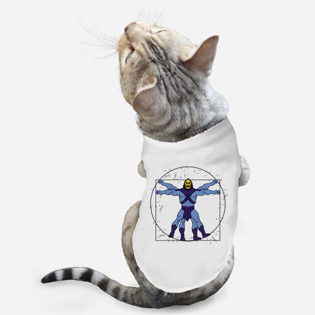 Vitruvian Master Skeletor-cat basic pet tank-Melonseta