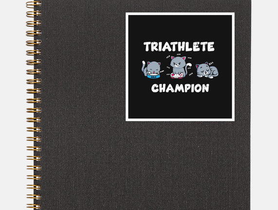 Triathlete Champion