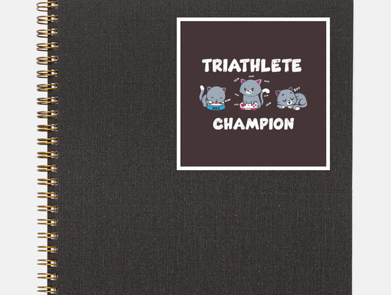 Triathlete Champion