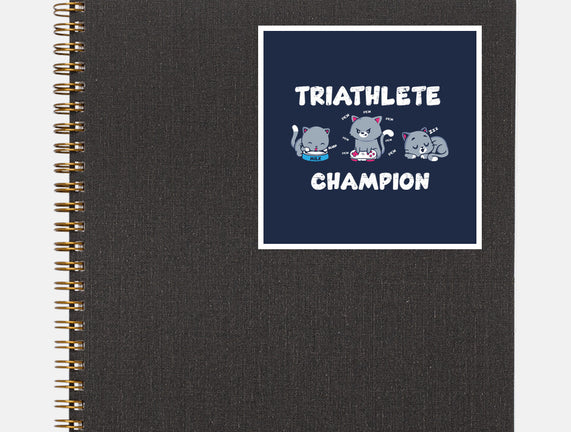 Triathlete Champion