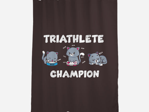 Triathlete Champion