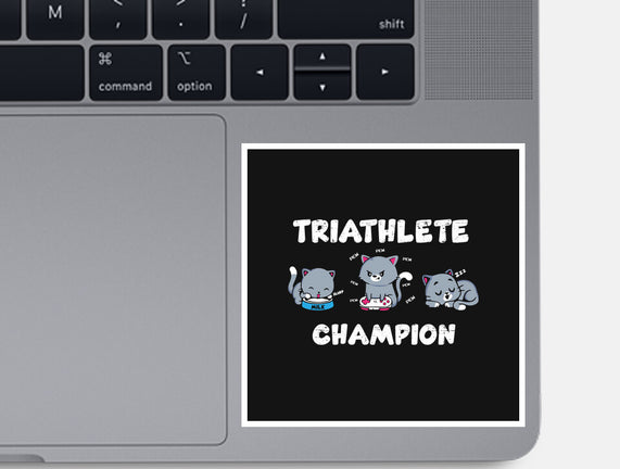 Triathlete Champion