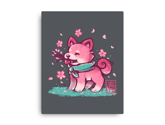 Spring Time Shiba