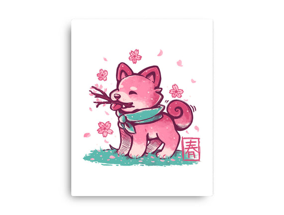 Spring Time Shiba